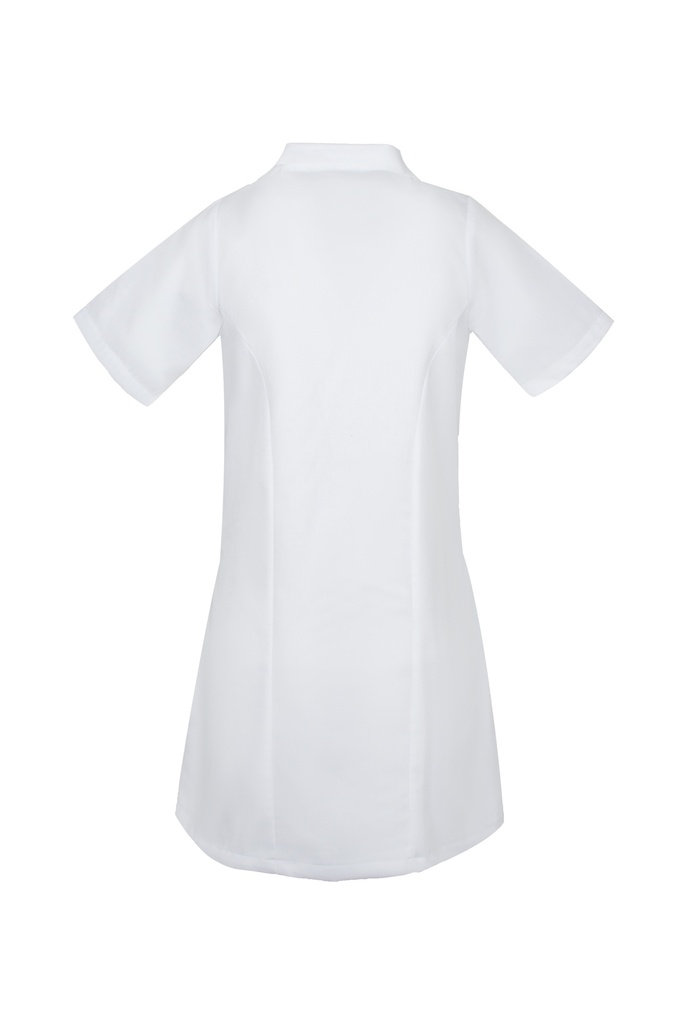 Blouse AMBRE demi-manches Femme